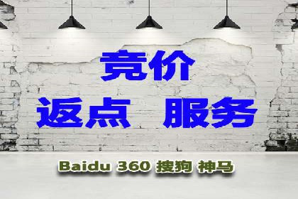 深入剖析SEM公司成功案例：数据驱动的广告策略