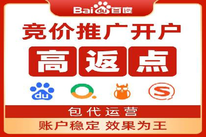 SEM竞价代运营成功案例解析